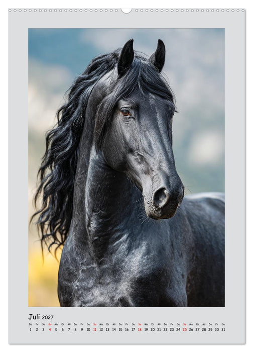 Friesenpferde. Schwarze Eleganz in der Natur (CALVENDO Premium Wandkalender 2027)