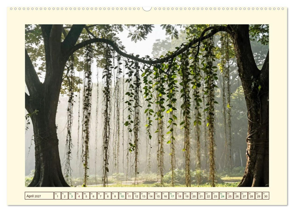 Gestaltete Stille - Wo die Natur zur Skulptur wird (CALVENDO Wandkalender 2027)