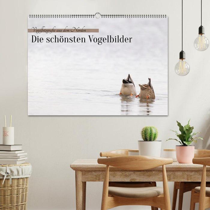Vogelfotografie aus dem Norden (CALVENDO Wandkalender 2027)