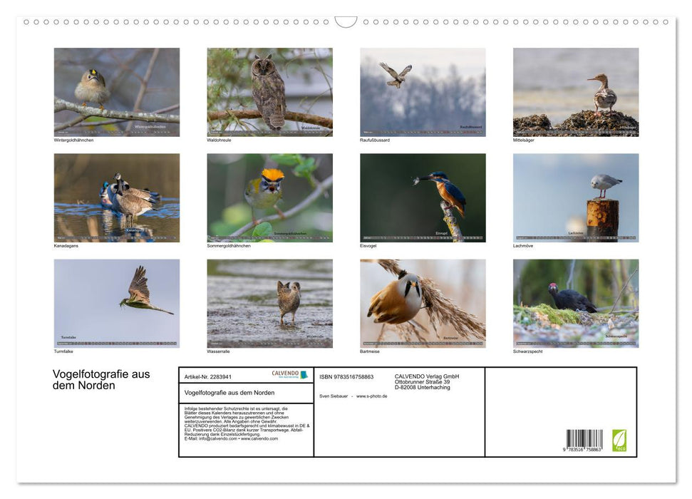 Vogelfotografie aus dem Norden (CALVENDO Wandkalender 2027)