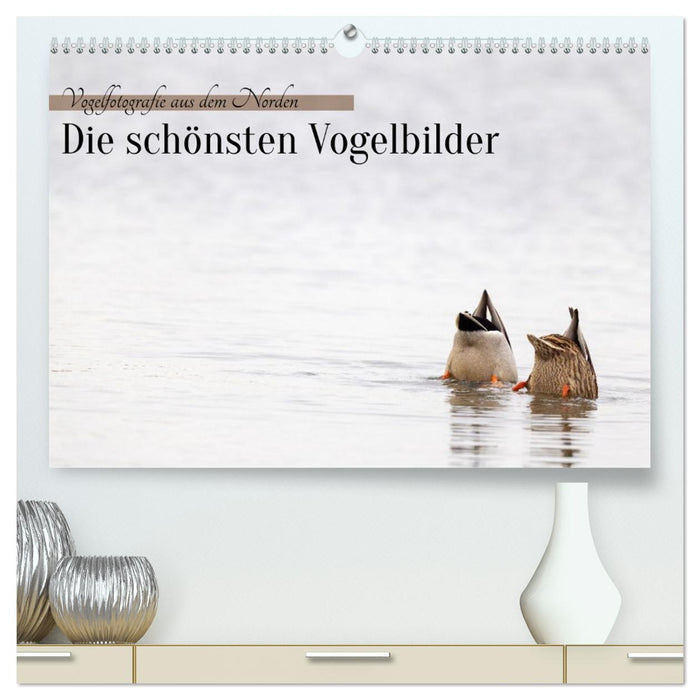 Vogelfotografie aus dem Norden (CALVENDO Premium Wandkalender 2027)