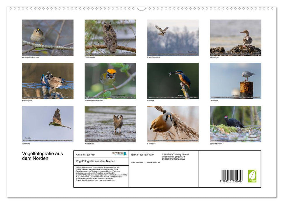 Vogelfotografie aus dem Norden (CALVENDO Premium Wandkalender 2027)