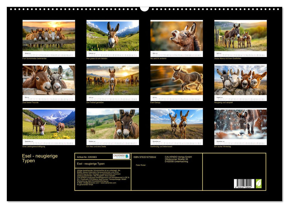 Esel - neugierige Typen (CALVENDO Wandkalender 2027)