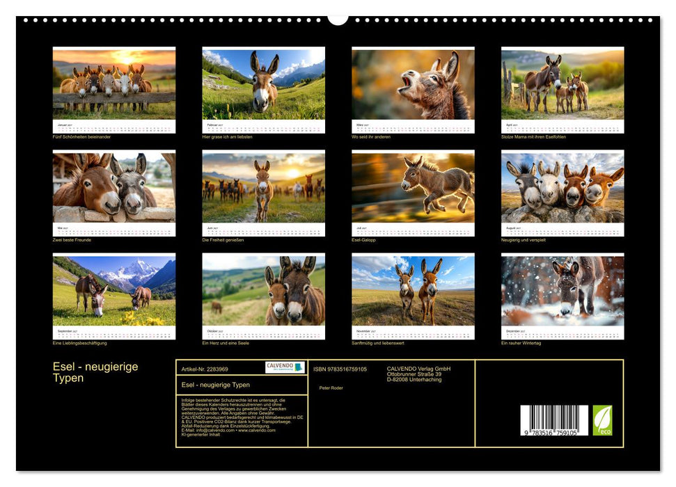 Esel - neugierige Typen (CALVENDO Premium Wandkalender 2027)