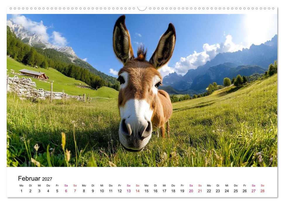 Esel - neugierige Typen (CALVENDO Premium Wandkalender 2027)