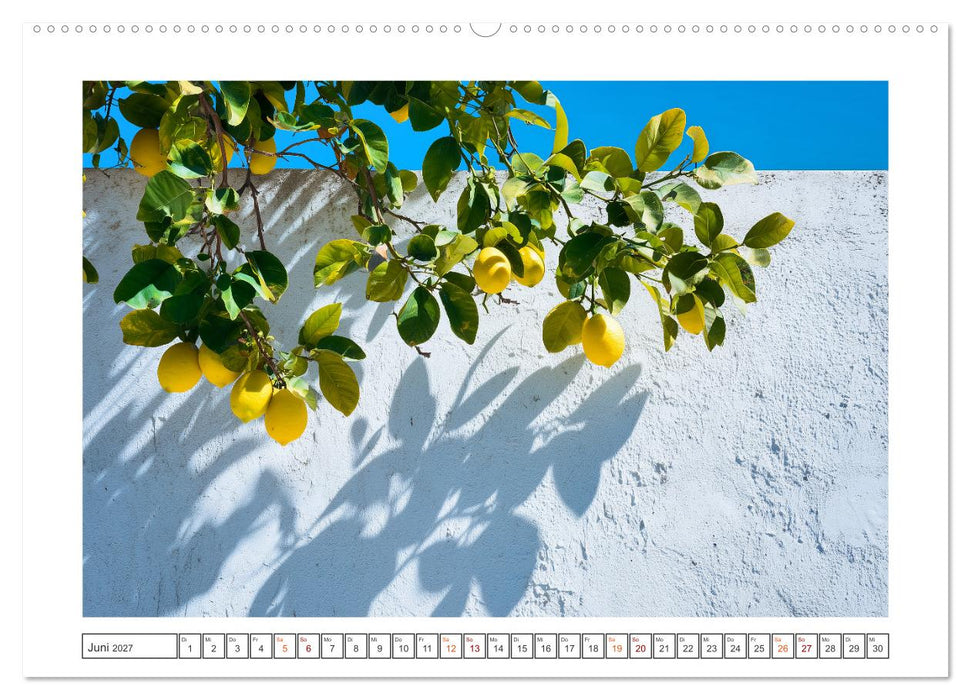 Mediterrane Zitronenträume (CALVENDO Wandkalender 2027)