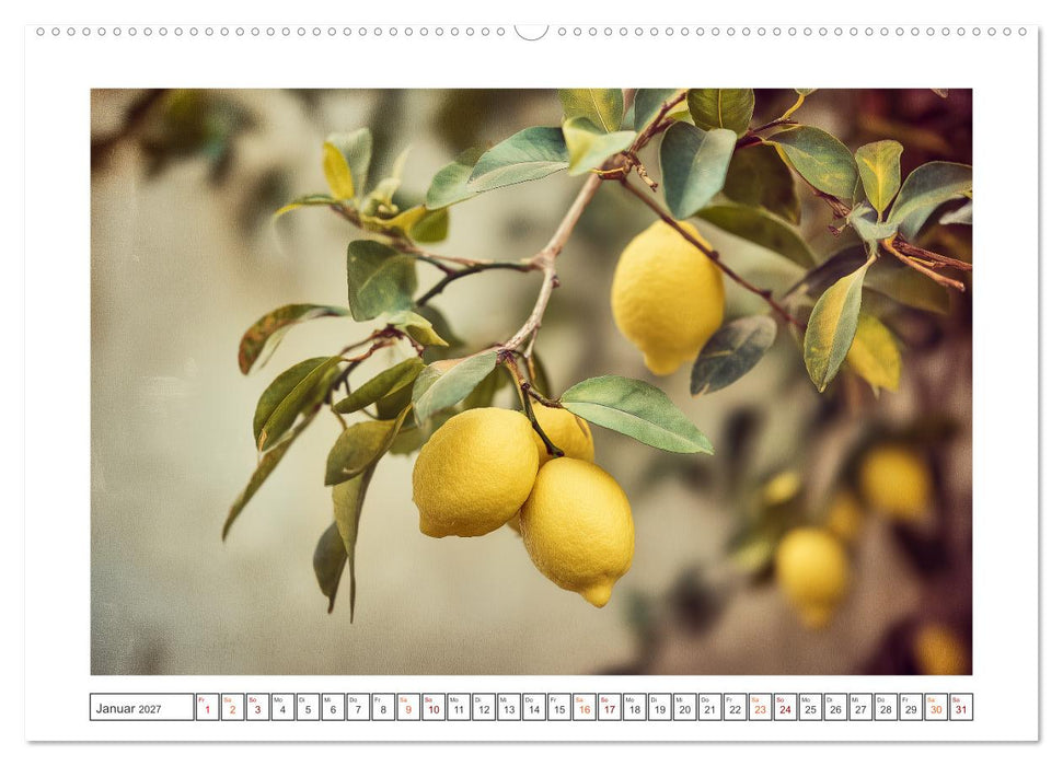 Mediterrane Zitronenträume (CALVENDO Premium Wandkalender 2027)