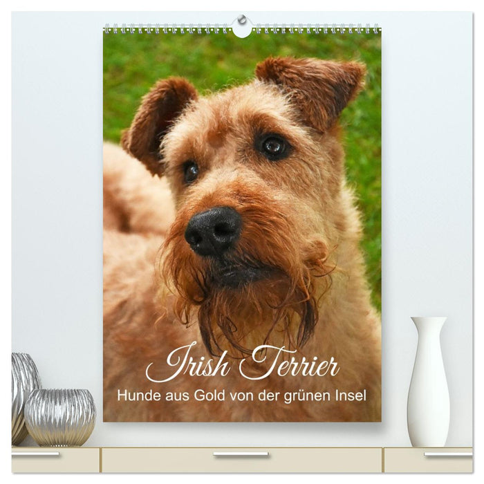 Irish Terrier - Hunde aus Gold von der grünen Insel (CALVENDO Premium Wandkalender 2027)