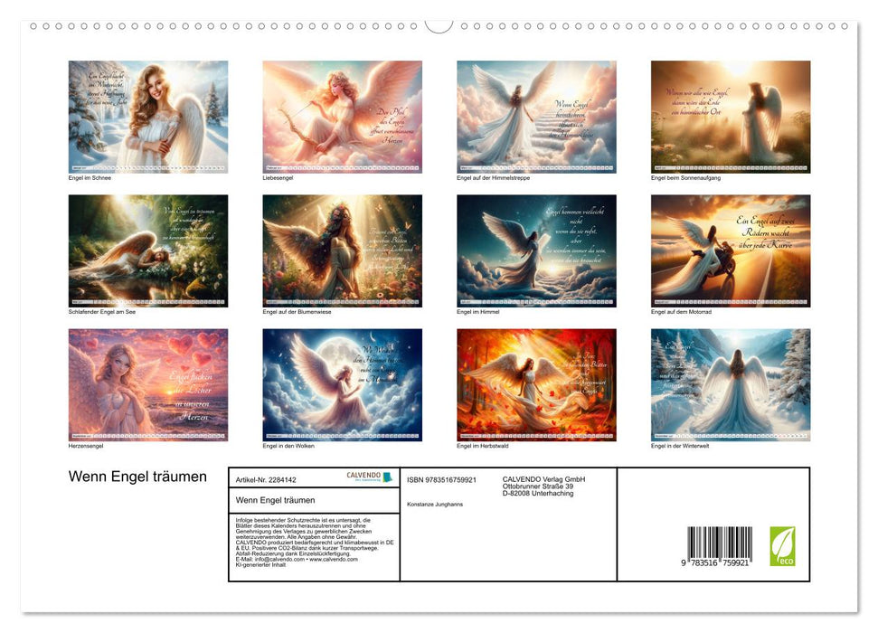 Wenn Engel träumen (CALVENDO Premium Wandkalender 2027)