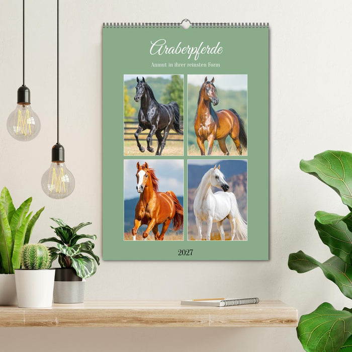 Araberpferde. Anmut in ihrer reinsten Form (CALVENDO Wandkalender 2027)
