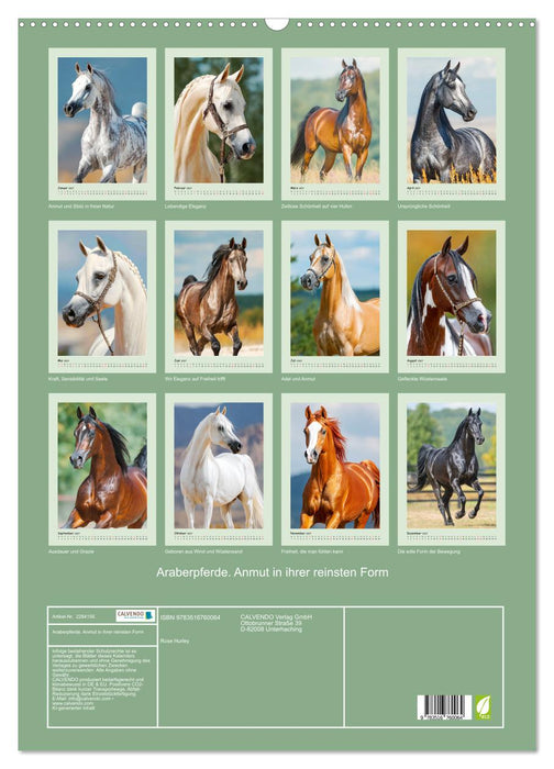Araberpferde. Anmut in ihrer reinsten Form (CALVENDO Wandkalender 2027)