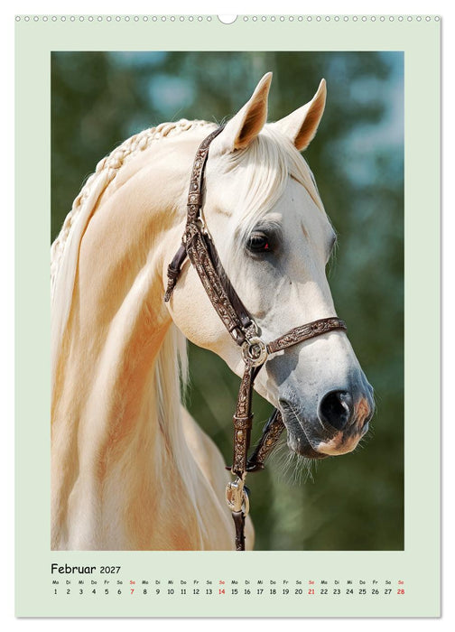 Araberpferde. Anmut in ihrer reinsten Form (CALVENDO Wandkalender 2027)