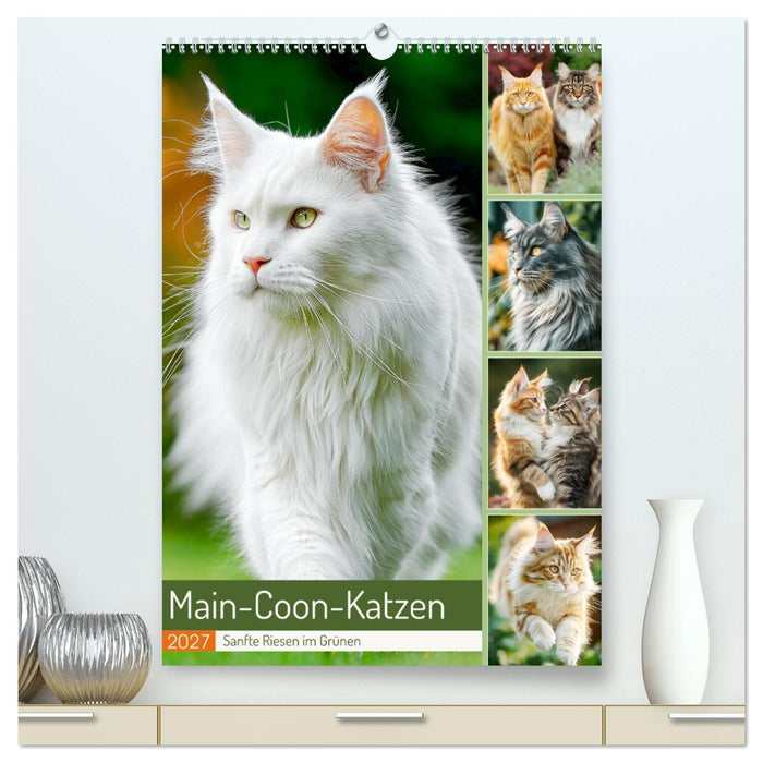 Main-Coon-Katzen. Sanfte Riesen im Grünen (CALVENDO Premium Wandkalender 2027)