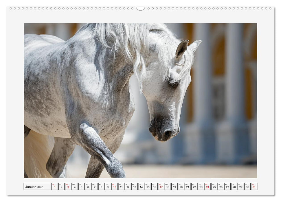 Spanische Eleganz. Edle Schimmel auf dem Gestüt (CALVENDO Wandkalender 2027)