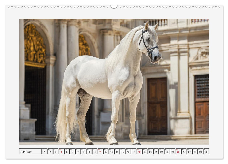 Spanische Eleganz. Edle Schimmel auf dem Gestüt (CALVENDO Wandkalender 2027)