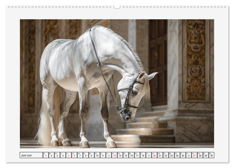 Spanische Eleganz. Edle Schimmel auf dem Gestüt (CALVENDO Wandkalender 2027)