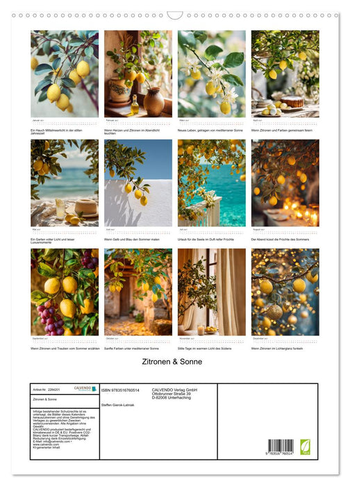 Zitronen & Sonne (CALVENDO Wandkalender 2027)