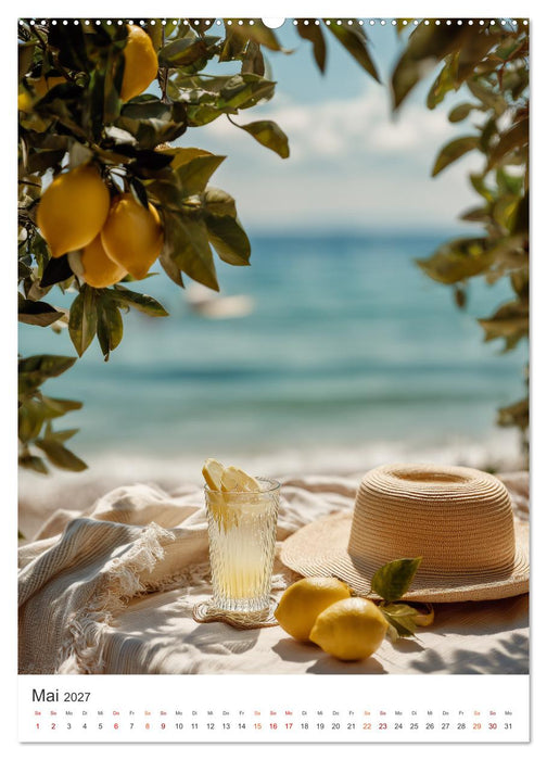 Zitronen & Sonne (CALVENDO Wandkalender 2027)