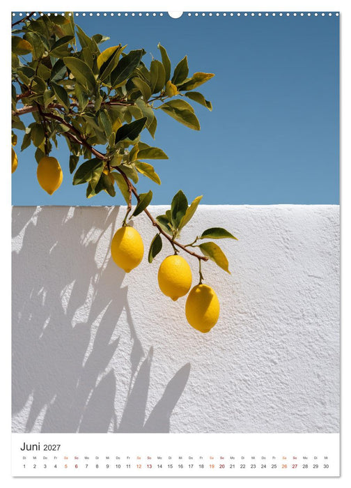 Zitronen & Sonne (CALVENDO Wandkalender 2027)