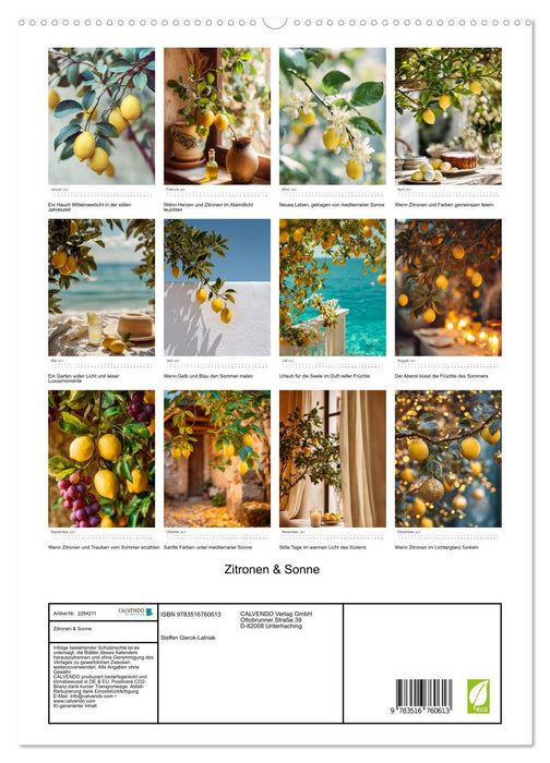 Zitronen & Sonne (CALVENDO Premium Wandkalender 2027)