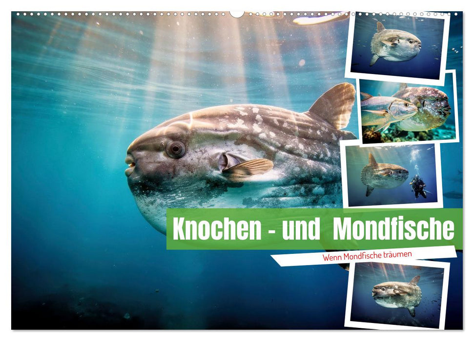 Knochen - und Mondfische (CALVENDO Wandkalender 2027)