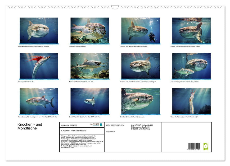 Knochen - und Mondfische (CALVENDO Wandkalender 2027)