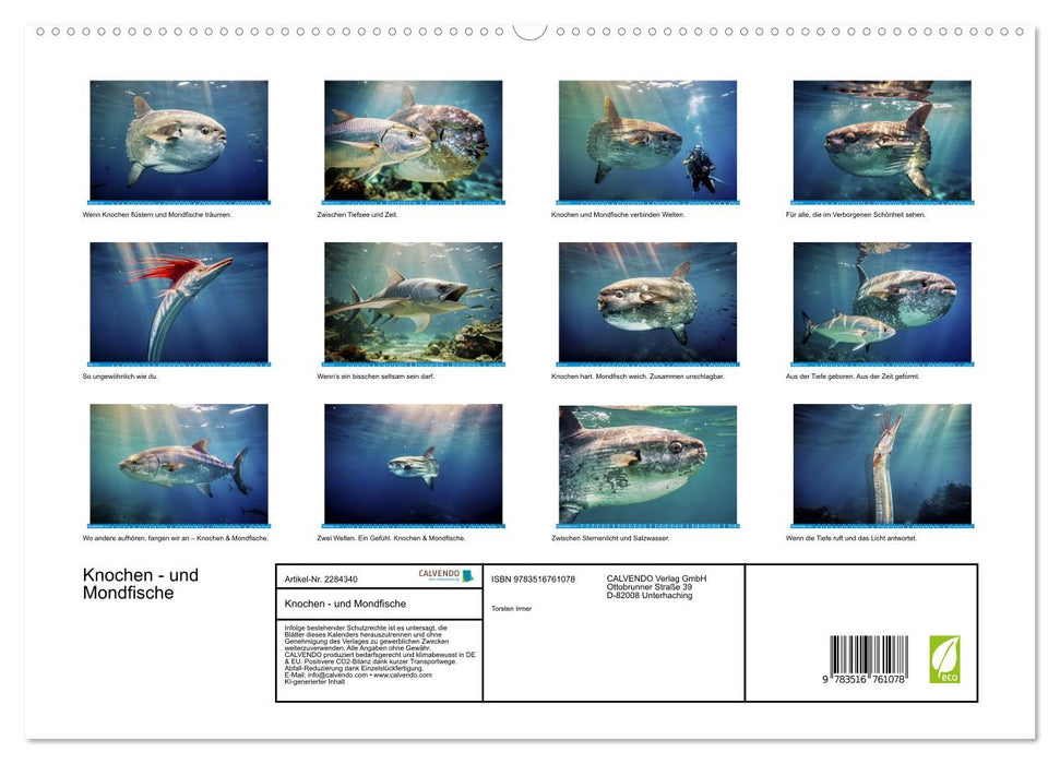 Knochen - und Mondfische (CALVENDO Premium Wandkalender 2027)
