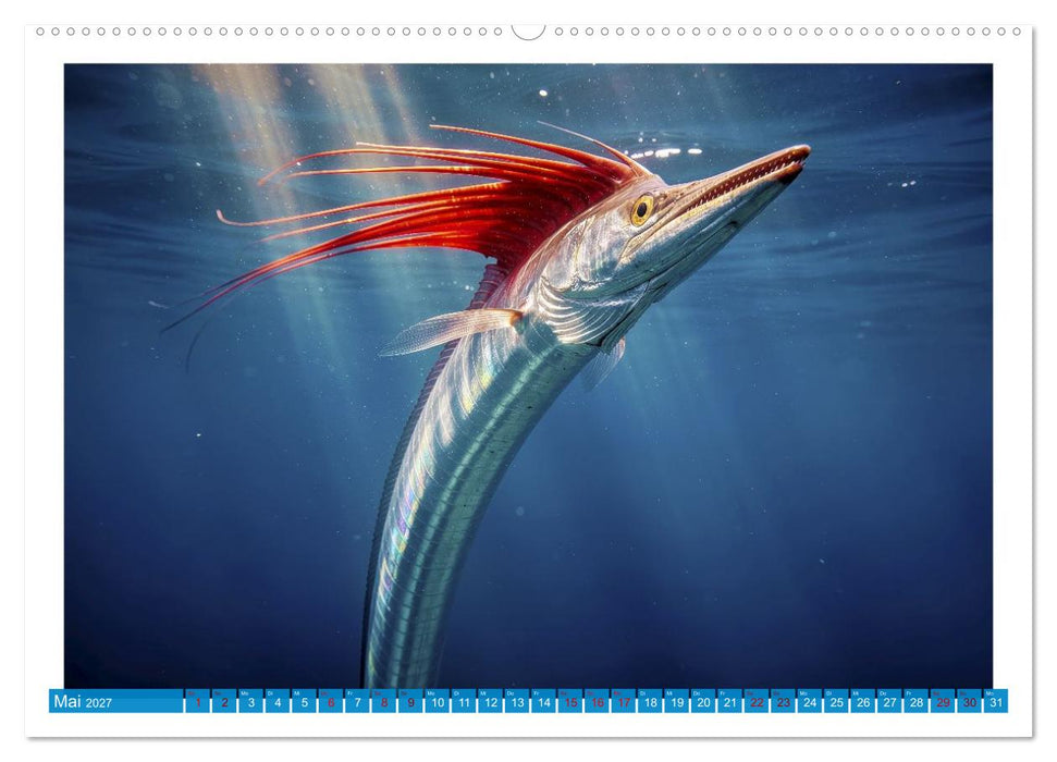 Knochen - und Mondfische (CALVENDO Premium Wandkalender 2027)
