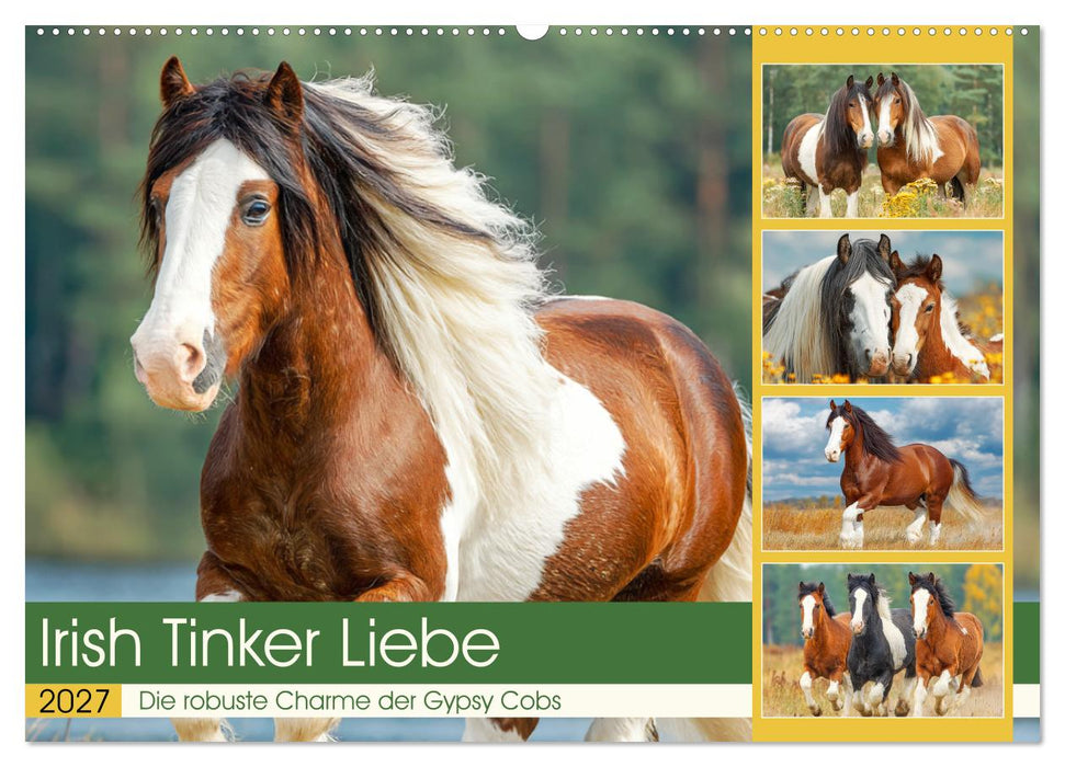 Irish Tinker Liebe. Der robuste Charme der Gypsy Cobs (CALVENDO Wandkalender 2027)