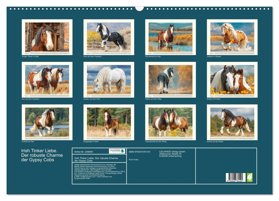 Irish Tinker Liebe. Der robuste Charme der Gypsy Cobs (CALVENDO Wandkalender 2027)