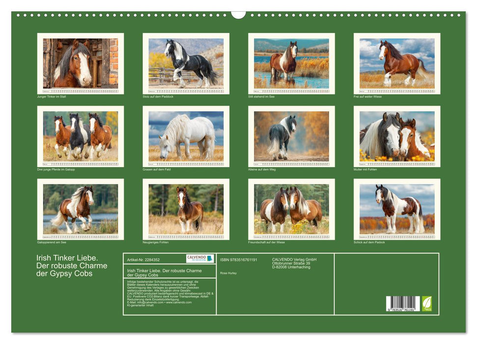 Irish Tinker Liebe. Der robuste Charme der Gypsy Cobs (CALVENDO Wandkalender 2027)