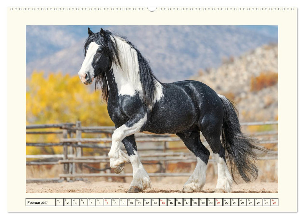 Irish Tinker Liebe. Der robuste Charme der Gypsy Cobs (CALVENDO Wandkalender 2027)