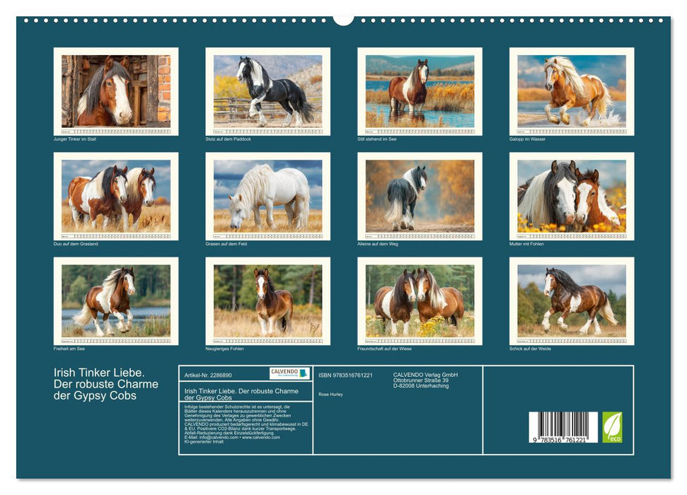 Irish Tinker Liebe. Der robuste Charme der Gypsy Cobs (CALVENDO Premium Wandkalender 2027)