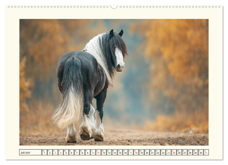 Irish Tinker Liebe. Der robuste Charme der Gypsy Cobs (CALVENDO Premium Wandkalender 2027)
