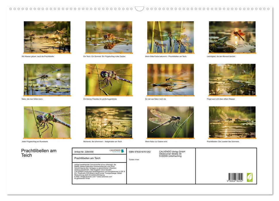 Prachtlibellen am Teich (CALVENDO Wandkalender 2027)