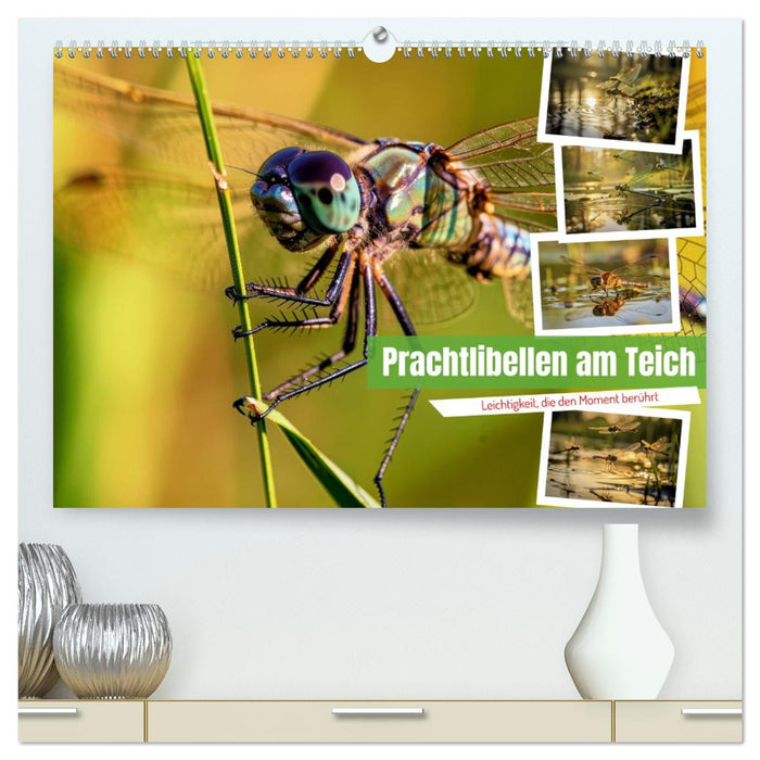 Prachtlibellen am Teich (CALVENDO Premium Wandkalender 2027)