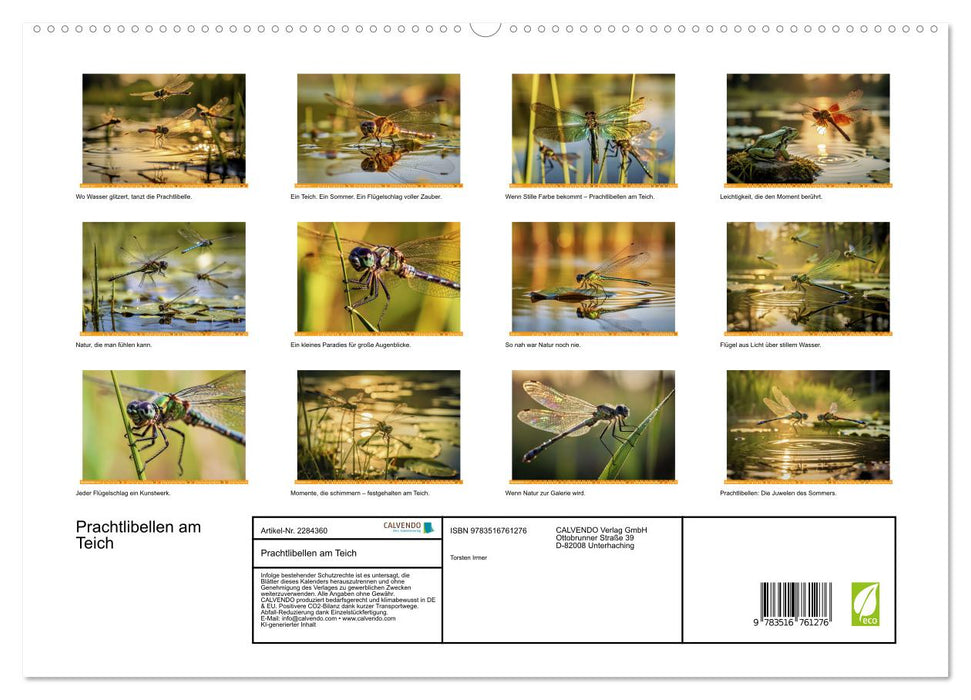 Prachtlibellen am Teich (CALVENDO Premium Wandkalender 2027)