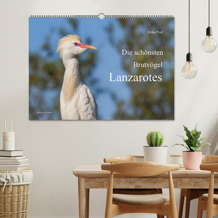 Die schönsten Brutvögel Lanzarotes (CALVENDO Wandkalender 2027)