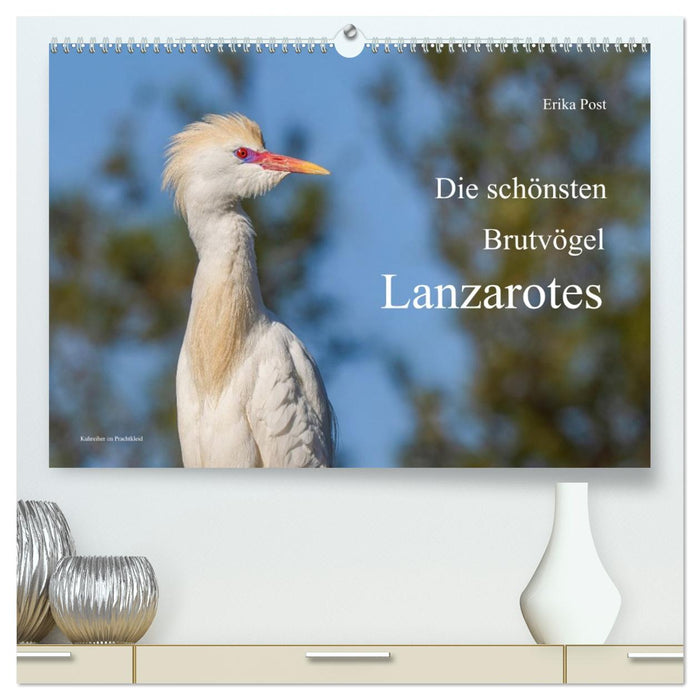 Die schönsten Brutvögel Lanzarotes (CALVENDO Premium Wandkalender 2027)