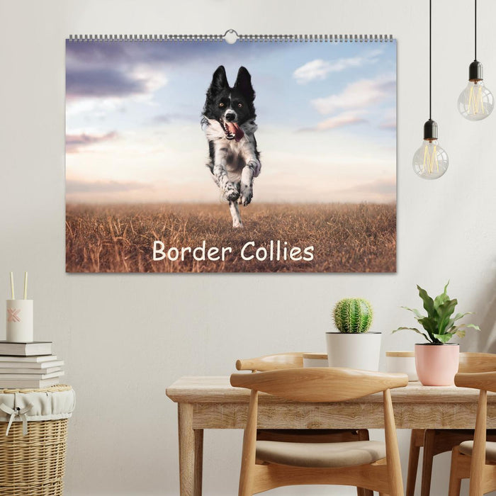 Border Collie Kalender – Ausdrucksstarke Close-up-Portraits durch die Jahreszeiten (CALVENDO Wandkalender 2027)