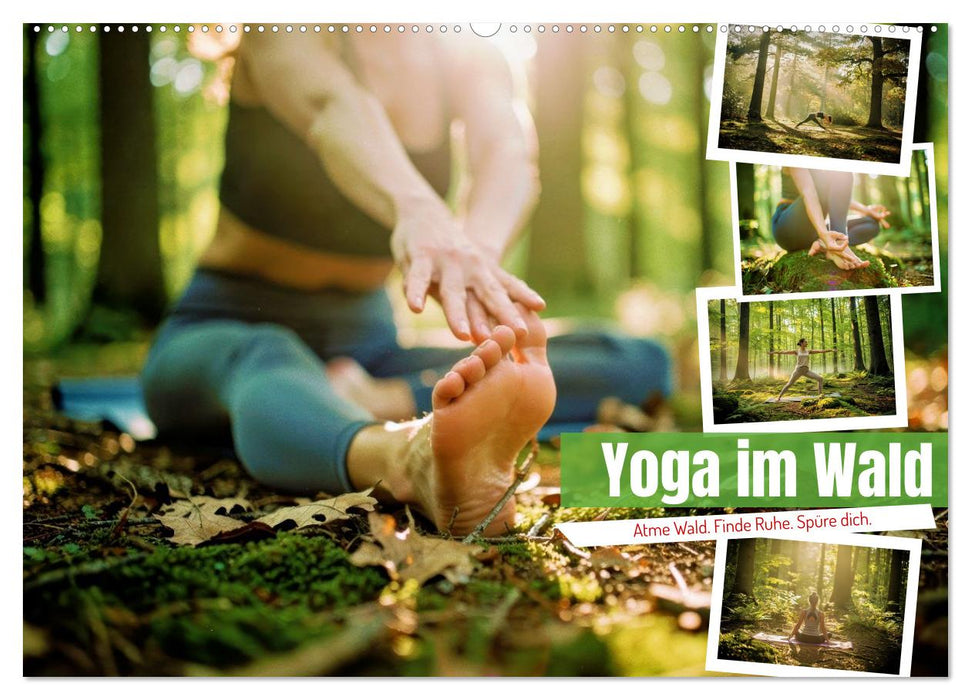 Yoga im Wald (CALVENDO Wandkalender 2027)