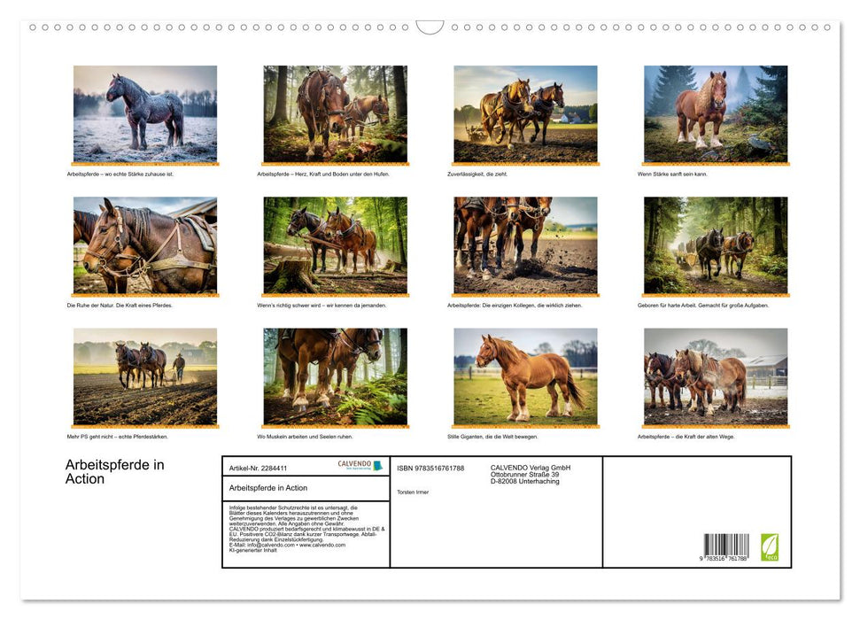 Arbeitspferde in Action (CALVENDO Wandkalender 2027)