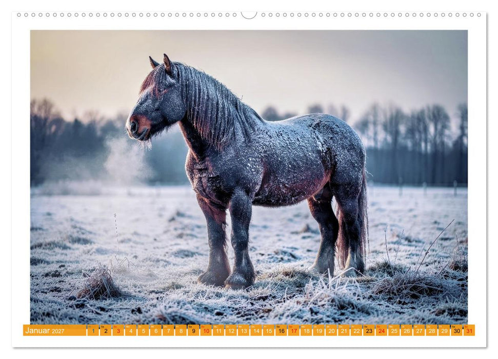 Arbeitspferde in Action (CALVENDO Wandkalender 2027)