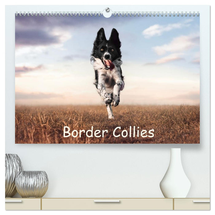 Border Collie Kalender – Ausdrucksstarke Close-up-Portraits durch die Jahreszeiten (CALVENDO Premium Wandkalender 2027)