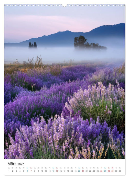 Der Sommer blüht violett (CALVENDO Wandkalender 2027)