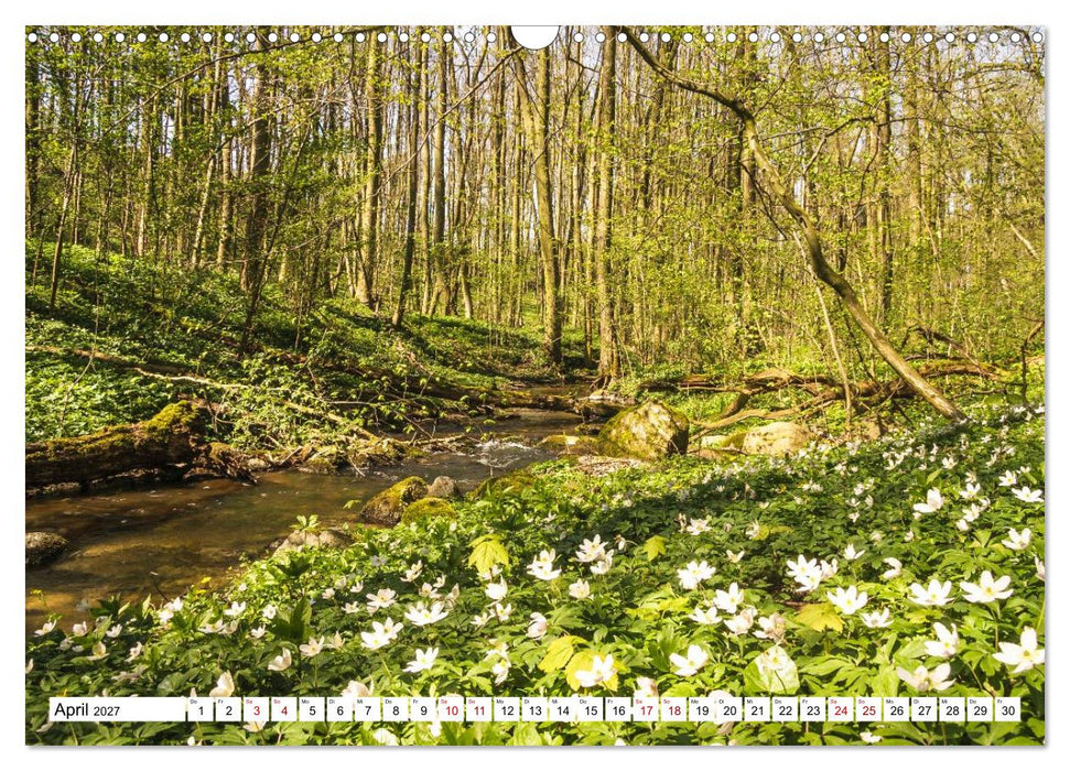 Magische Stimmungen in Mecklenburg-Vorpommern (CALVENDO Wandkalender 2027)