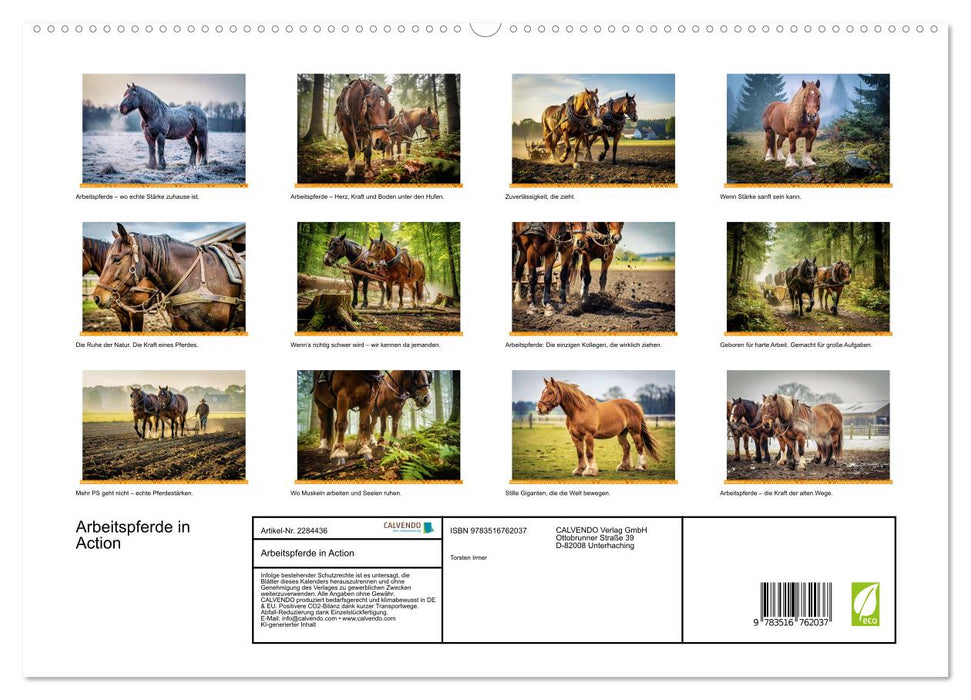 Arbeitspferde in Action (CALVENDO Premium Wandkalender 2027)