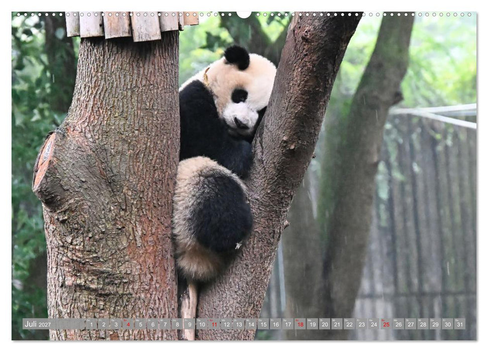 Erlebnis China (CALVENDO Premium Wandkalender 2027)