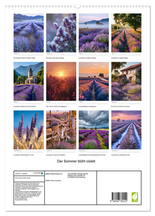 Der Sommer blüht violett (CALVENDO Premium Wandkalender 2027)