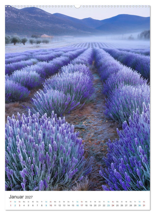 Der Sommer blüht violett (CALVENDO Premium Wandkalender 2027)